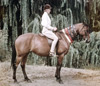 Pirouette II ridden by Tink Haydon