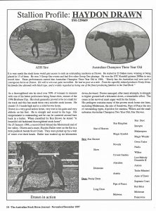 Haydon Drawn Stallion Profile ASH Journal